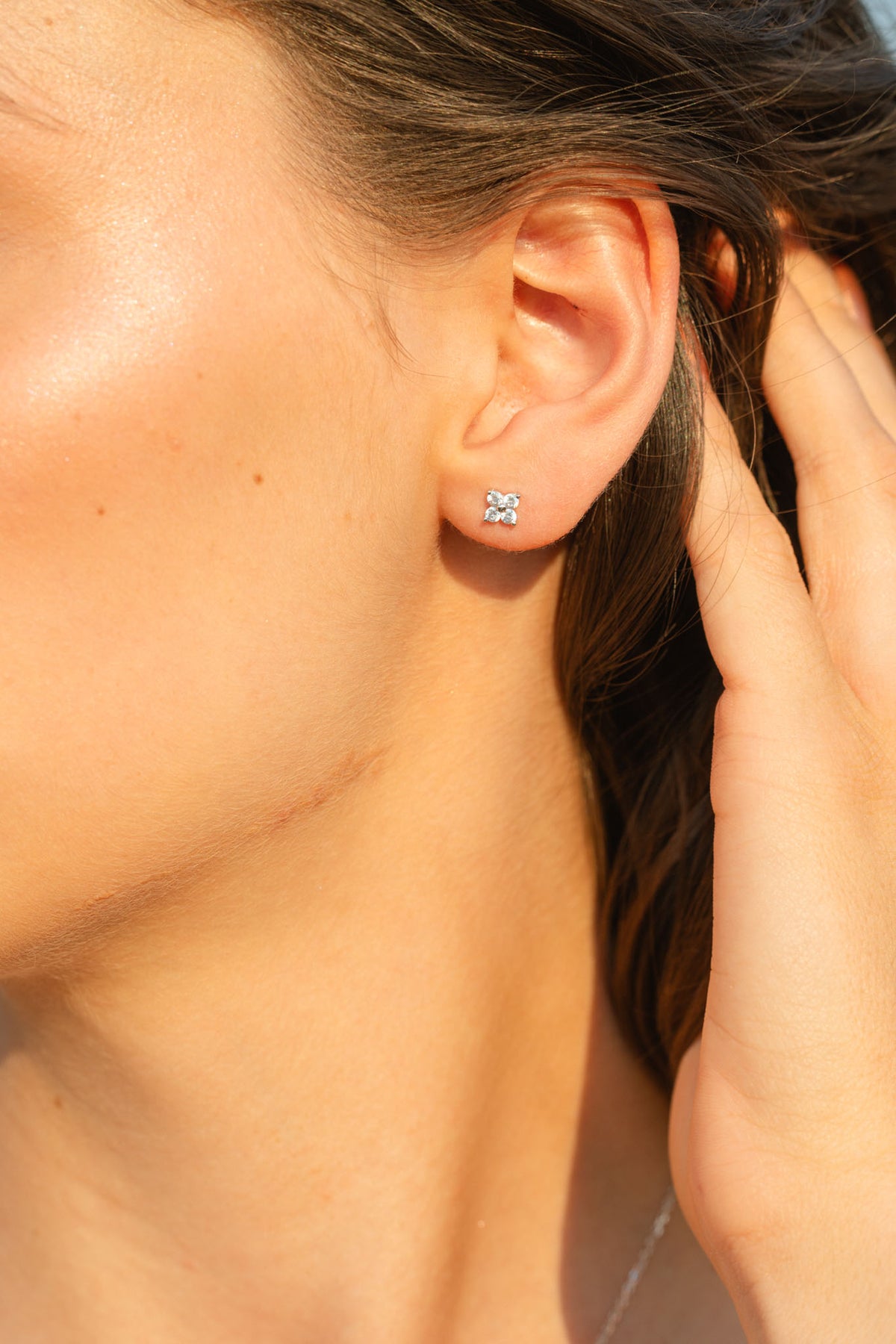 Boucles d'oreilles Givrine