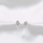 Boucles d'oreilles Givrine